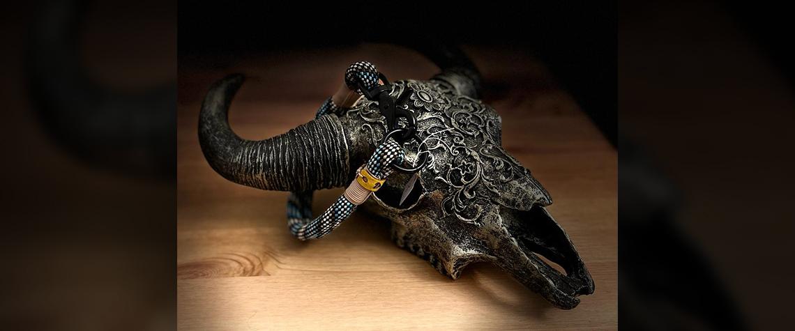 Preview: Tauhalsband