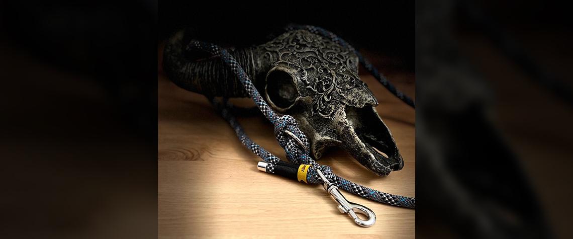 Preview: Retrieverleinen aus Tau