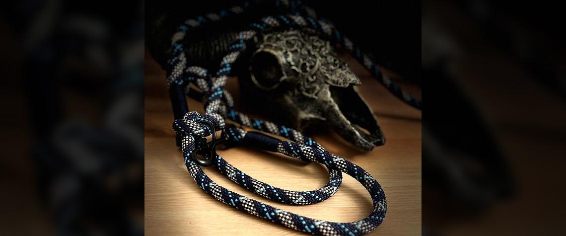 Preview: Retrieverleinen aus Tau