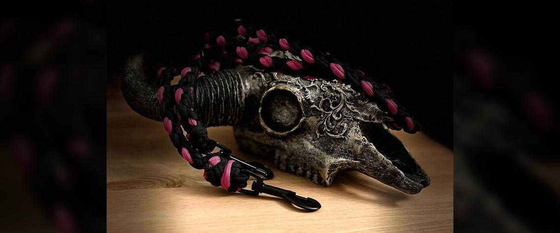 Preview: Hundeleine „Sam“